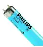 Philips MASTER TL-D 18W - Blu | 60cm