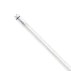 Philips Master Tubo LED T8 (EM/Mains) High Output T8 7.6W 1090lm - 830 Luce Calda -  | 60cm - Sostitutiva 18W