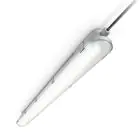 Philips Stagna LED CoreLine WT120C G2 29W 4000lm - 840 Bianco Freddo | 120cm 